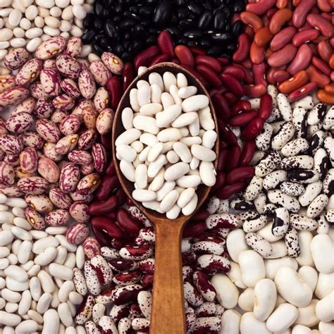 bean yupoo
